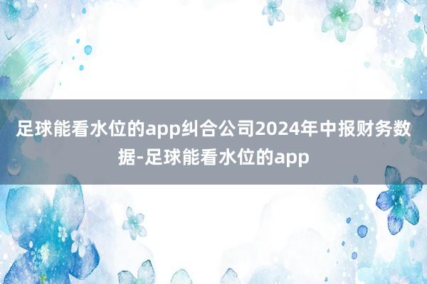 足球能看水位的app纠合公司2024年中报财务数据-足球能看水位的app