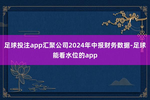 足球投注app汇聚公司2024年中报财务数据-足球能看水位的app