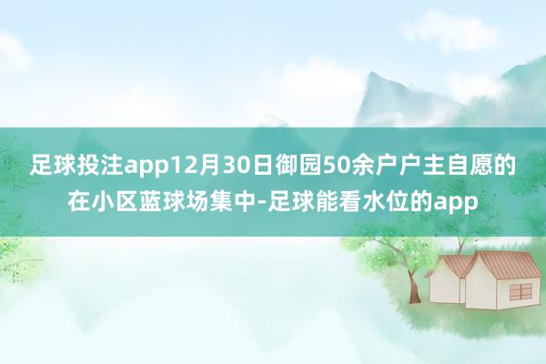 足球投注app12月30日御园50余户户主自愿的在小区蓝球场集中-足球能看水位的app