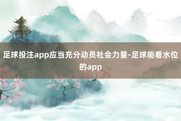 足球投注app应当充分动员社会力量-足球能看水位的app