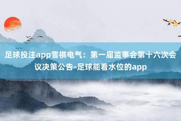 足球投注app雪祺电气：第一届监事会第十六次会议决策公告-足球能看水位的app