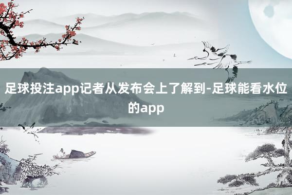 足球投注app记者从发布会上了解到-足球能看水位的app