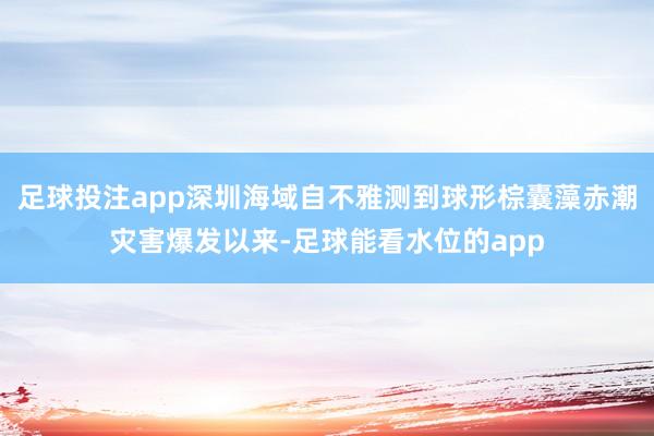 足球投注app深圳海域自不雅测到球形棕囊藻赤潮灾害爆发以来-足球能看水位的app