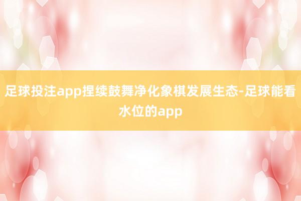 足球投注app捏续鼓舞净化象棋发展生态-足球能看水位的app