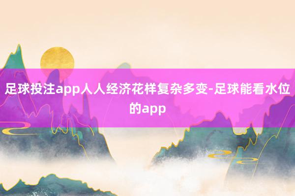 足球投注app人人经济花样复杂多变-足球能看水位的app
