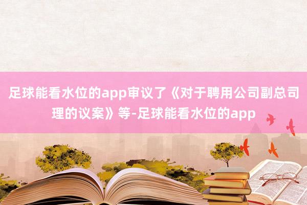 足球能看水位的app审议了《对于聘用公司副总司理的议案》等-足球能看水位的app