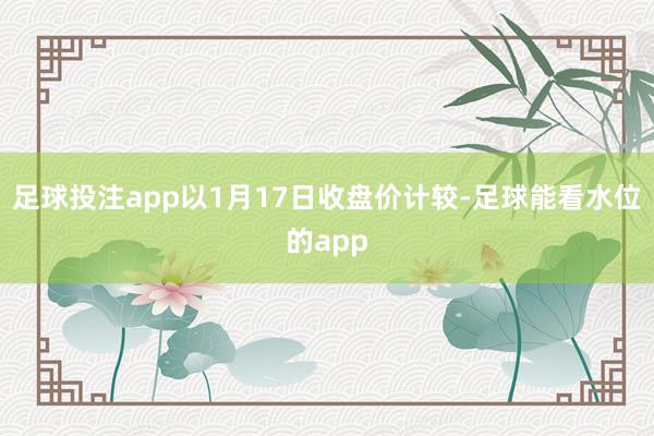 足球投注app以1月17日收盘价计较-足球能看水位的app