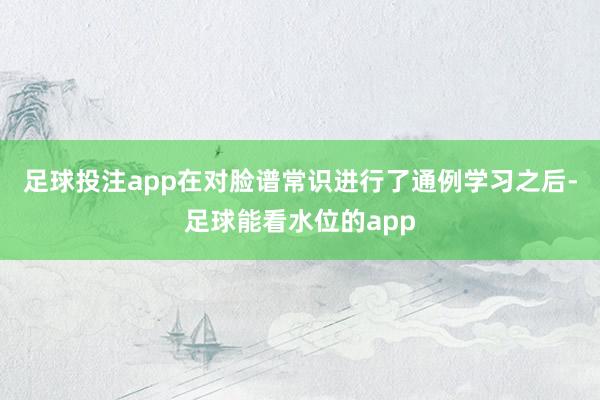 足球投注app在对脸谱常识进行了通例学习之后-足球能看水位的app