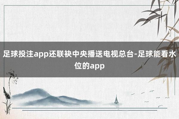 足球投注app还联袂中央播送电视总台-足球能看水位的app