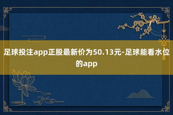足球投注app正股最新价为50.13元-足球能看水位的app