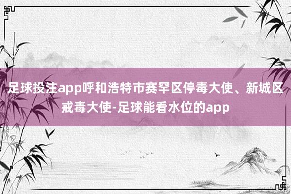 足球投注app呼和浩特市赛罕区停毒大使、新城区戒毒大使-足球能看水位的app
