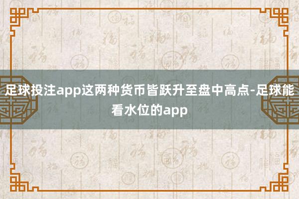 足球投注app这两种货币皆跃升至盘中高点-足球能看水位的app