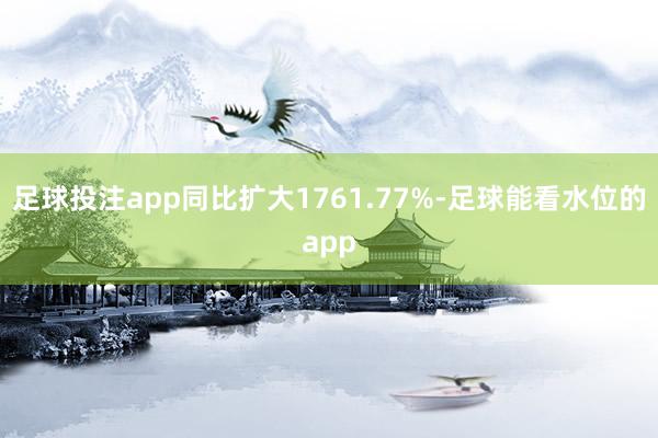 足球投注app同比扩大1761.77%-足球能看水位的app
