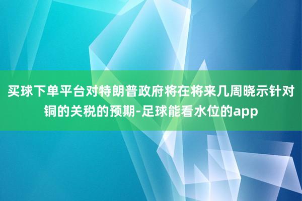 买球下单平台对特朗普政府将在将来几周晓示针对铜的关税的预期-足球能看水位的app
