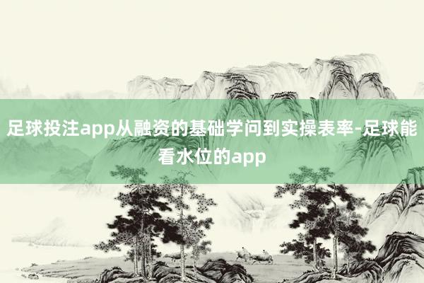足球投注app从融资的基础学问到实操表率-足球能看水位的app