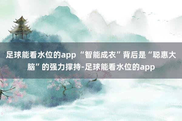 足球能看水位的app “智能成衣”背后是“聪惠大脑”的强力撑持-足球能看水位的app