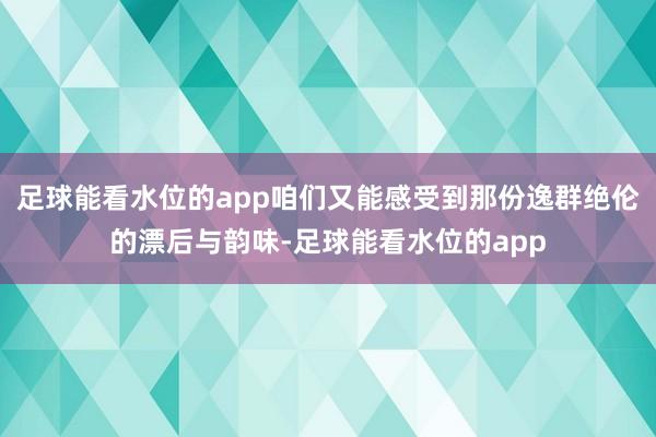足球能看水位的app咱们又能感受到那份逸群绝伦的漂后与韵味-足球能看水位的app