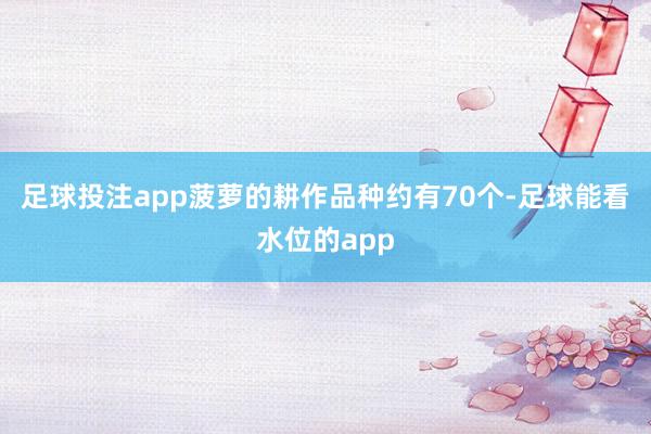 足球投注app菠萝的耕作品种约有70个-足球能看水位的app