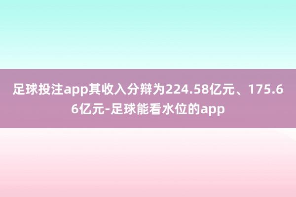 足球投注app其收入分辩为224.58亿元、175.66亿元-足球能看水位的app