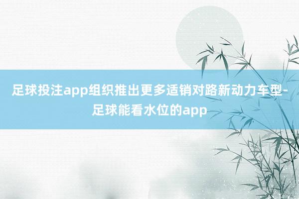 足球投注app组织推出更多适销对路新动力车型-足球能看水位的app