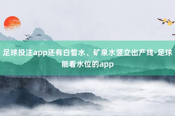 足球投注app还有白皙水、矿泉水竖立出产线-足球能看水位的app