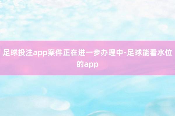 足球投注app案件正在进一步办理中-足球能看水位的app