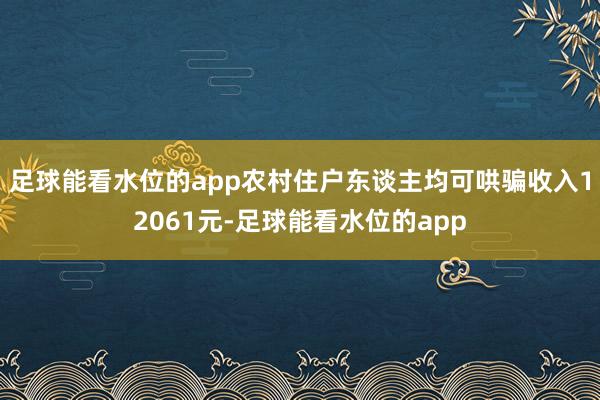 足球能看水位的app农村住户东谈主均可哄骗收入12061元-足球能看水位的app