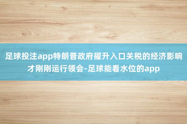 足球投注app特朗普政府擢升入口关税的经济影响才刚刚运行领会-足球能看水位的app