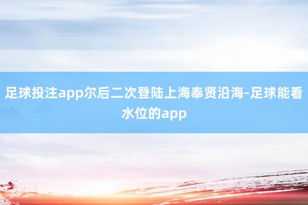 足球投注app尔后二次登陆上海奉贤沿海-足球能看水位的app