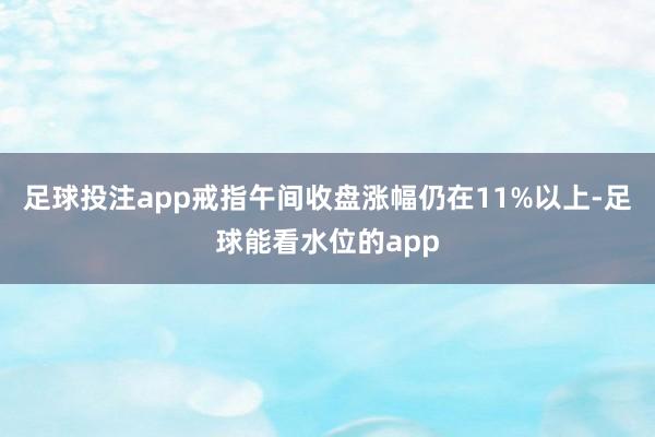 足球投注app戒指午间收盘涨幅仍在11%以上-足球能看水位的app