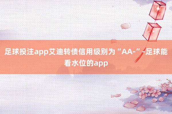 足球投注app艾迪转债信用级别为“AA-”-足球能看水位的app