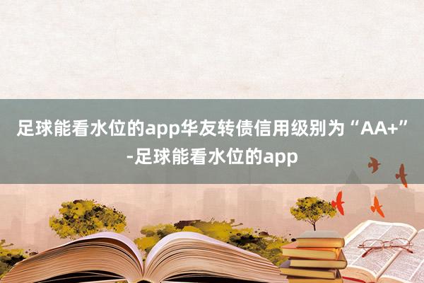 足球能看水位的app华友转债信用级别为“AA+”-足球能看水位的app