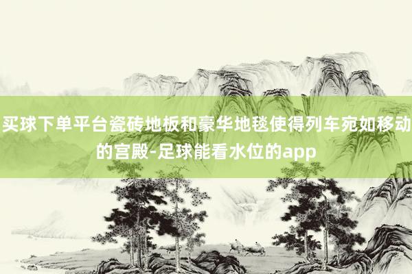 买球下单平台瓷砖地板和豪华地毯使得列车宛如移动的宫殿-足球能看水位的app