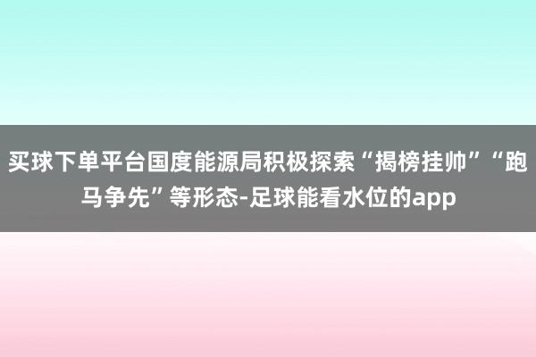 买球下单平台国度能源局积极探索“揭榜挂帅”“跑马争先”等形态-足球能看水位的app
