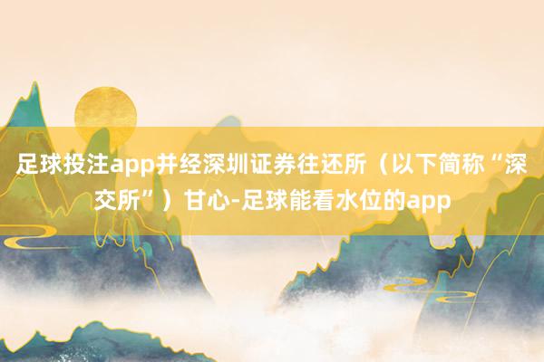 足球投注app并经深圳证券往还所（以下简称“深交所”）甘心-足球能看水位的app