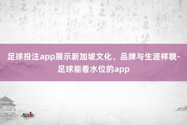 足球投注app展示新加坡文化、品牌与生涯样貌-足球能看水位的app