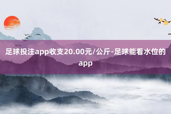 足球投注app收支20.00元/公斤-足球能看水位的app