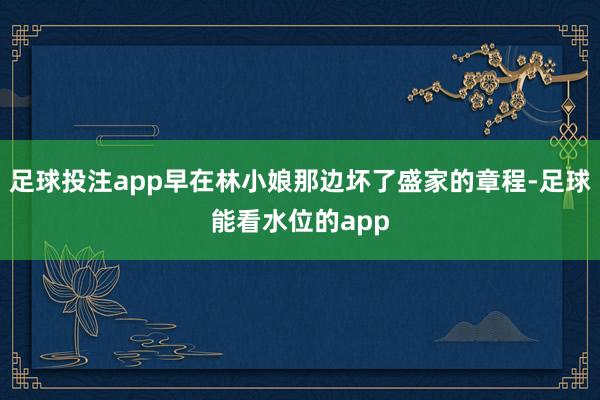 足球投注app早在林小娘那边坏了盛家的章程-足球能看水位的app