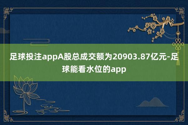 足球投注appA股总成交额为20903.87亿元-足球能看水位的app
