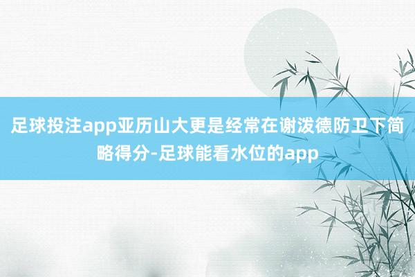 足球投注app亚历山大更是经常在谢泼德防卫下简略得分-足球能看水位的app