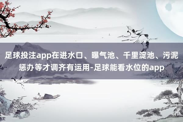 足球投注app在进水口、曝气池、千里淀池、污泥惩办等才调齐有运用-足球能看水位的app