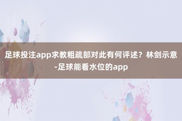 足球投注app求教粗疏部对此有何评述? 林剑示意-足球能看水位的app