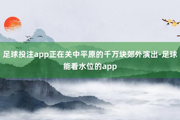 足球投注app正在关中平原的千万块郊外演出-足球能看水位的app