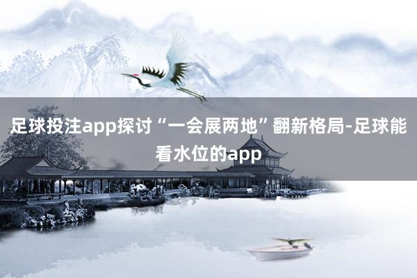 足球投注app探讨“一会展两地”翻新格局-足球能看水位的app