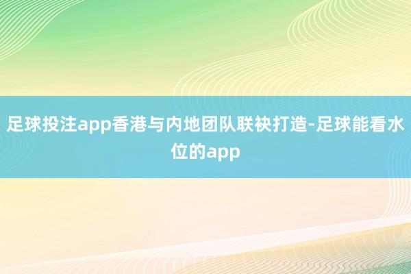足球投注app香港与内地团队联袂打造-足球能看水位的app