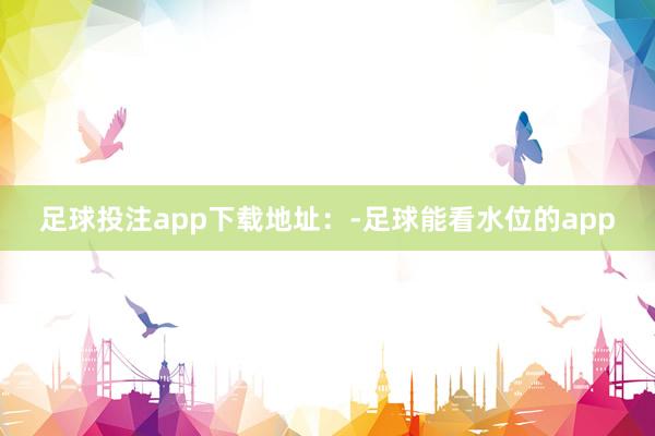 足球投注app下载地址：-足球能看水位的app